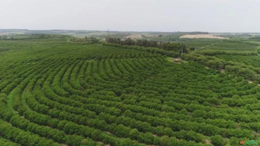 Fazenda em Pratânia SP