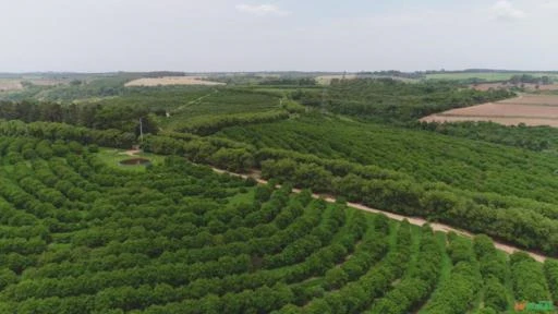 Fazenda em Pratânia SP