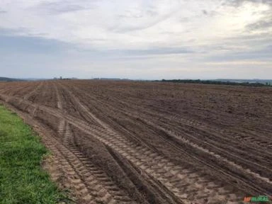 Fazenda na região de Itapetininga-SP