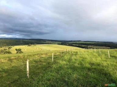 Fazenda na região de Itapetininga-SP