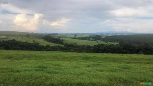 Fazenda na região de Itapetininga-SP