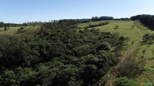 Fazenda em Avaré SP