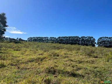 Fazenda em Avaré SP