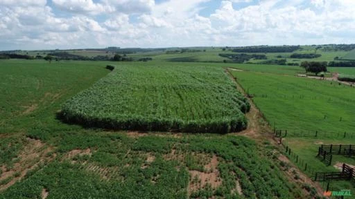 Fazenda em Avaré SP