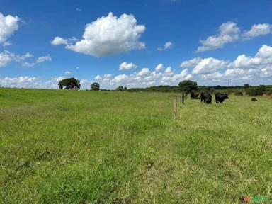 Fazenda em Avaré SP