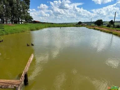 Fazenda em Avaré SP