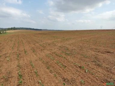 Fazenda na região de Itapetininga-SP