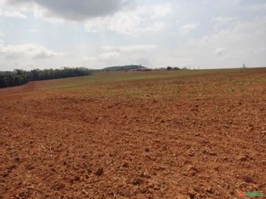 Fazenda na região de Itapetininga-SP