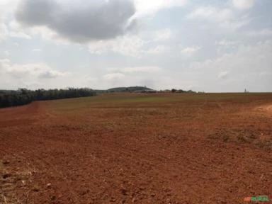 Fazenda na região de Itapetininga-SP