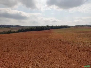 Fazenda na região de Itapetininga-SP