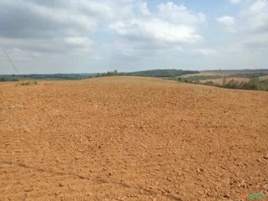 Fazenda na região de Itapetininga-SP