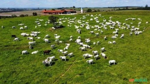 Fazenda na região de Sorocaba-SP