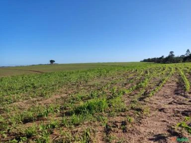 Fazenda em Itapetininga-SP