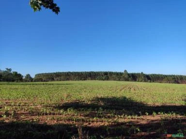 Fazenda em Itapetininga-SP