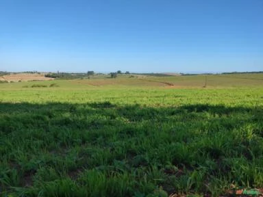 Fazenda em Itapetininga-SP