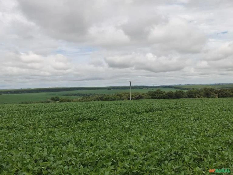 Fazenda em Itapetininga-SP