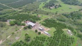 Fazenda em Pratânia SP