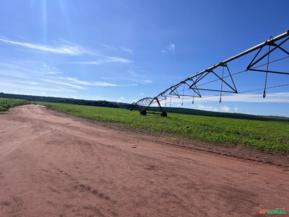 Fazenda em Avaré SP