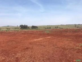 Fazenda com 340 alqueires para agricultura, na região de Avaré-SP