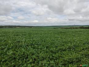 Fazenda em Itapetininga SP