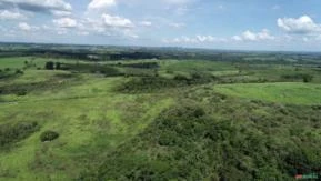 Fazenda com 250 alqueires para plantação de laranja