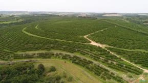 Fazenda 267 alqueires na região de Botucatu-SP