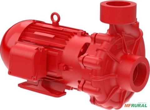 Bomba FAMAC Para Incêndio FNI 2.1/2 X 2.1/2 147MM 5CV Rosca - Voltagem: TRIF. 220/380/440V. Imagem Bomba FAMAC Para Incêndio FNI 2.1/2 X 2.1/2 147MM 5CV Rosca - Voltagem: TRIF. 220/380/440V.