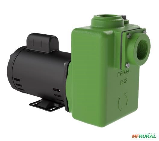 Bomba FAMAC Centrifuga Autoescorvante FBZ10 100MM 1,5CV -  Voltagem: MONOF. 127/220V. Imagem Bomba FAMAC Centrifuga Autoescorvante FBZ10 100MM 1,5CV -  Voltagem: MONOF. 127/220V.
