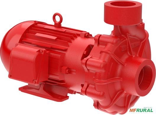 Bomba FAMAC Para Incêndio FNI 2.1/2 X 2.1/2 172MM 7,5CV Rosca -  Voltagem: MONOF. 220/440V. Imagem Bomba FAMAC Para Incêndio FNI 2.1/2 X 2.1/2 172MM 7,5CV Rosca -  Voltagem: MONOF. 220/440V.