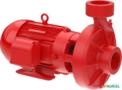 Bomba FAMAC Para Incêndio FNI2 2.1/2 X 2.1/2 185MM 15CV Rosca - Voltagem: TRIF. 220/380/440V. Imagem Bomba FAMAC Para Incêndio FNI2 2.1/2 X 2.1/2 185MM 15CV Rosca - Voltagem: TRIF. 220/380/440V.
