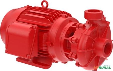 Bomba FAMAC Para Incêndio FNI3 2.1/2 X 2.1/2 165MM 20CV Rosca - Voltagem: TRIF. 220/380/440V. Imagem Bomba FAMAC Para Incêndio FNI3 2.1/2 X 2.1/2 165MM 20CV Rosca - Voltagem: TRIF. 220/380/440V.