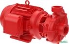 Bomba FAMAC Para Incêndio FNI3 2.1/2 X 2.1/2 165MM 20CV Rosca - Voltagem: TRIF. 220/380/440V. Imagem Bomba FAMAC Para Incêndio FNI3 2.1/2 X 2.1/2 165MM 20CV Rosca - Voltagem: TRIF. 220/380/440V.