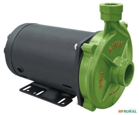 Bomba FAMAC Centrifuga FGN-2 150MM 2CV -  Voltagem: TRIF. 220/380/440V. Imagem Bomba FAMAC Centrifuga FGN-2 150MM 2CV -  Voltagem: TRIF. 220/380/440V.