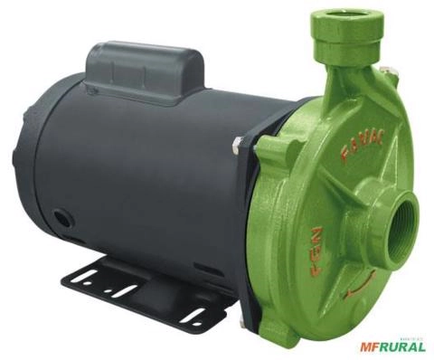 Bomba FAMAC Centrifuga FGN-1 155MM 1,5CV - Voltagem: TRIF. 220/380/440V. Imagem Bomba FAMAC Centrifuga FGN-1 155MM 1,5CV - Voltagem: TRIF. 220/380/440V.