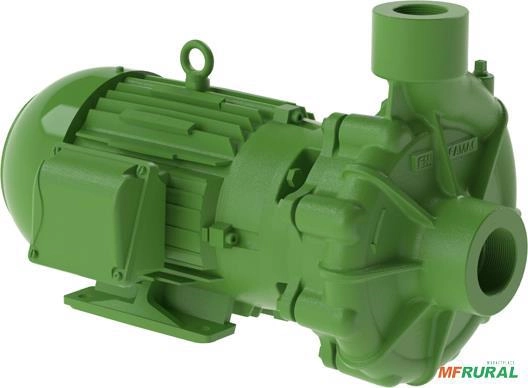 Bomba FAMAC Centrifuga FN 154MM 6CV -  Voltagem: TRIF. 220/380/440V. Imagem Bomba FAMAC Centrifuga FN 154MM 6CV -  Voltagem: TRIF. 220/380/440V.