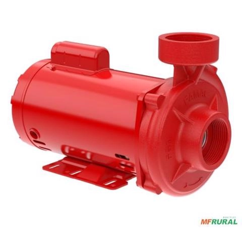 Bomba FAMAC Para Incêndio FGNI-2 2.1/2 X 2.1/2 110MM 3/4CV Rosca - Voltagem: TRIF. 220/380/440V. Imagem Bomba FAMAC Para Incêndio FGNI-2 2.1/2 X 2.1/2 110MM 3/4CV Rosca - Voltagem: TRIF. 220/380/440V.