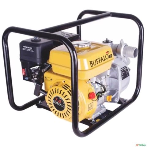 Motobomba BUFFALO a Combustão Autoescorvante BFG-2 S 7cv Gasolina Partida Manual Imagem Motobomba BUFFALO a Combustão Autoescorvante BFG-2 S 7cv Gasolina Partida Manual
