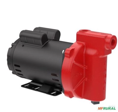 Bomba FAMAC Centrifuga Bico Injetor FIQN15-IN 150MM 1,5CV - Voltagem: MONOF. 110/127/220/254V. Imagem Bomba FAMAC Centrifuga Bico Injetor FIQN15-IN 150MM 1,5CV - Voltagem: MONOF. 110/127/220/254V.