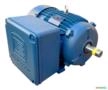Motor Monofásico 7,5cv Rural Blindado 2 Polos Alta Rotação Novo Imagem Motor Monofásico 7,5cv Rural Blindado 2 Polos Alta Rotação Novo