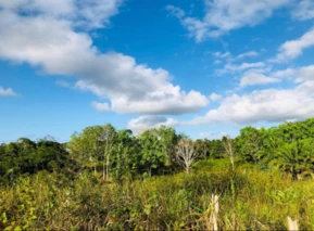 ARRENDO EXCELENTE FAZENDA PARA ENERGIA SOLAR EM UNA-BA PARA ENERGIA SOLAR