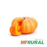 Vendo Abóbora Maranhão Imagem Vendo Abóbora Maranhão