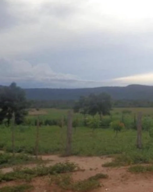 Vendo terra dos em Oliveira dos Brejinhos/BA para Agricultura e Mineração