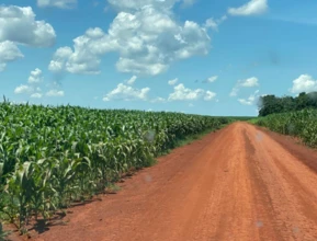 Fazenda à venda na região de Araguaína