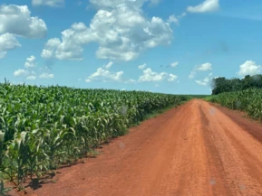 Fazenda à venda na região de Araguaína
