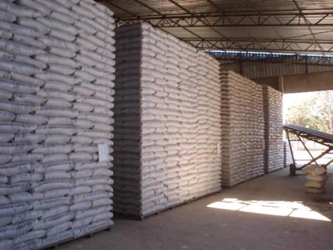 Sementes de Arroz de Terras Altas Imagem Sementes de Arroz de Terras Altas