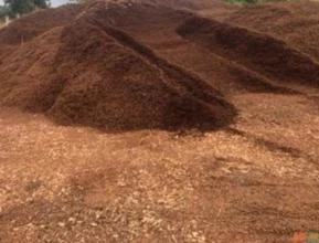 Açaí caroço biomassa fornalha fertilizante