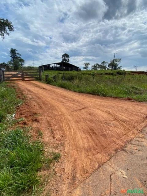 Fazenda/ Colônia no Acre