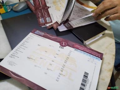 Imagem Matrizes e novilhas Senepol registradas Imagem Matrizes e novilhas Senepol registradas