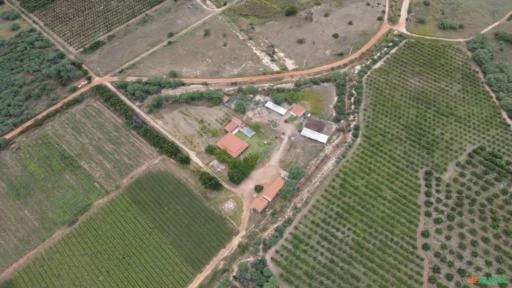 Fazenda de frutas