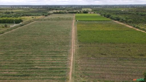 Fazenda de frutas